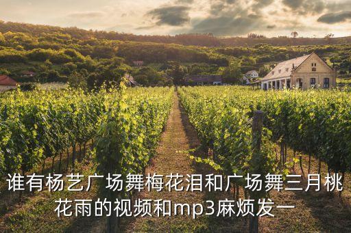 梅花泪古典舞教学视频完整版，谁有杨艺广场舞梅花泪和广场舞三月桃花雨的视频和mp3麻烦发一