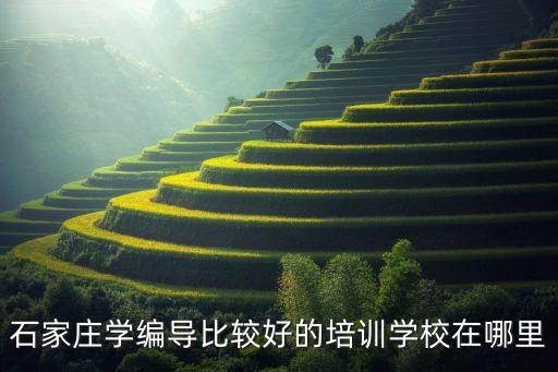 石家庄学编导比较好的培训学校在哪里
