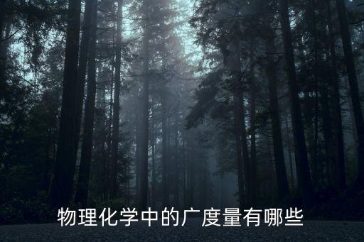 舞蹈史诗有哪些，物理化学中的广度量有哪些
