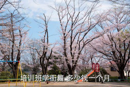 培训班学街舞 多少钱一个月