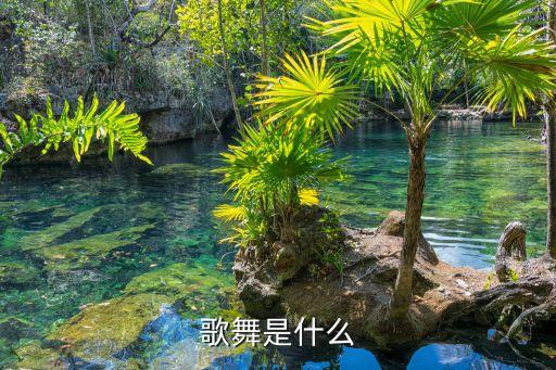 歌舞是什么