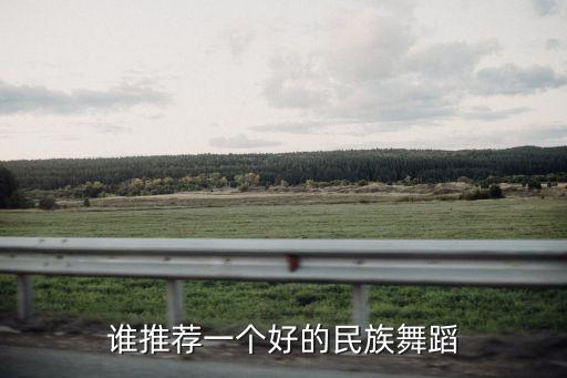 谁推荐一个好的民族舞蹈