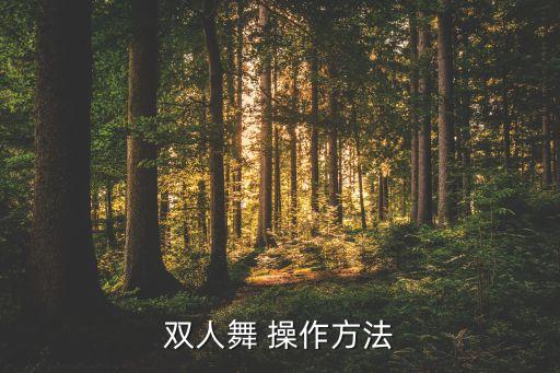 双人舞 操作方法
