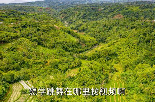 想学跳舞在哪里找视频啊