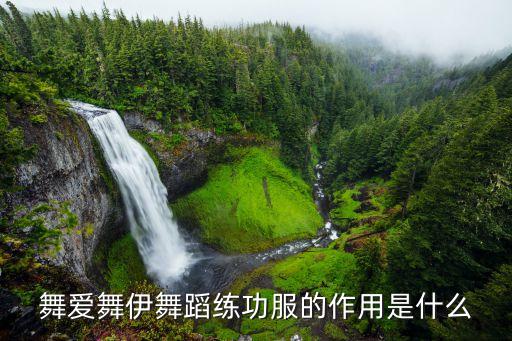 舞爱舞伊舞蹈练功服的作用是什么