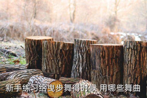 新手练习给曳步舞得时候 用哪些舞曲