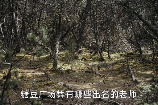 糖豆广场舞有哪些出名的老师