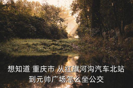 想知道 重庆市 从红旗河沟汽车北站到元帅广场怎么坐公交