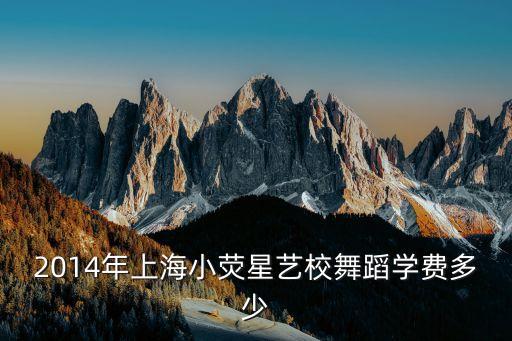 2014年上海小荧星艺校舞蹈学费多少