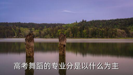 高考舞蹈的专业分是以什么为主