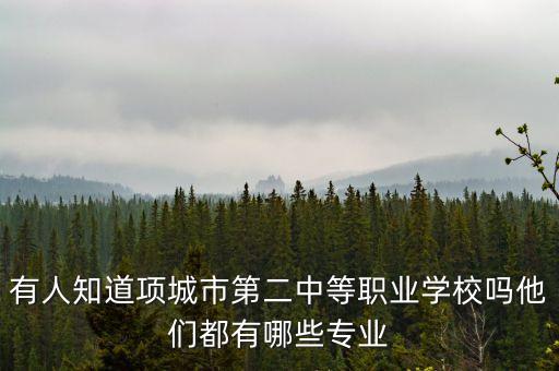 有人知道项城市第二中等职业学校吗他们都有哪些专业