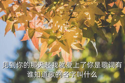 见到你的那天起我就爱上了你是歌词有谁知道歌的名字叫什么
