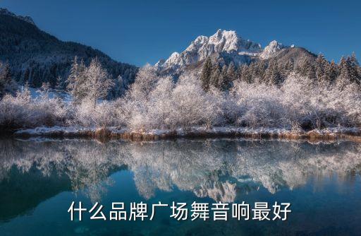 什么品牌广场舞音响最好