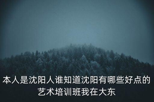 本人是沈阳人谁知道沈阳有哪些好点的艺术培训班我在大东