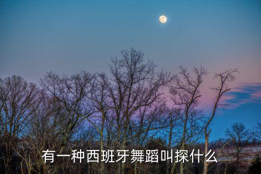 有一种西班牙舞蹈叫探什么