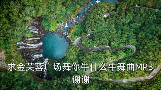 求金芙蓉广场舞你牛什么牛舞曲MP3 谢谢