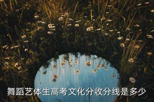 舞蹈艺体生高考文化分收分线是多少