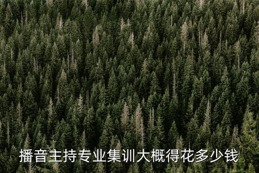 播音主持专业集训大概得花多少钱