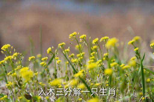 木分解和是什么生肖，入木三分解一只生肖