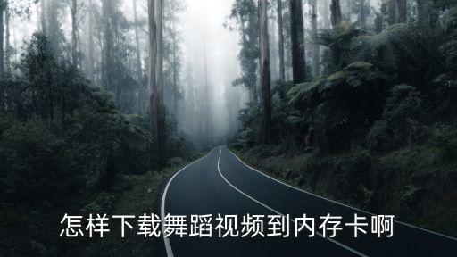 怎样下载舞蹈视频到内存卡啊
