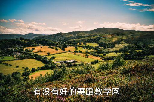 哪个网站可以搜索舞蹈机构，舞蹈网址有什么