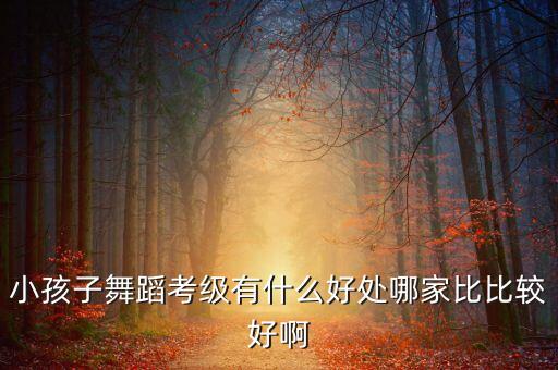 小孩子舞蹈考级有什么好处哪家比比较好啊