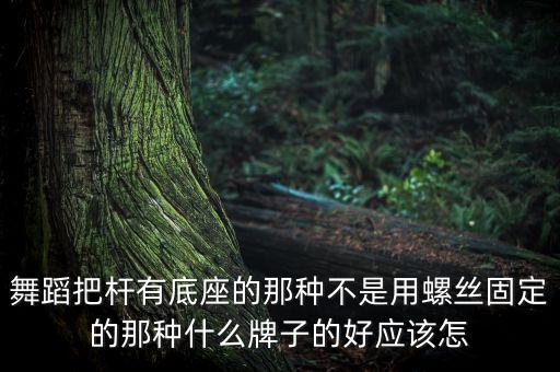 舞蹈把杆有底座的那种不是用螺丝固定的那种什么牌子的好应该怎