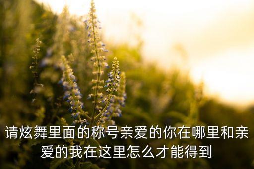 请炫舞里面的称号亲爱的你在哪里和亲爱的我在这里怎么才能得到