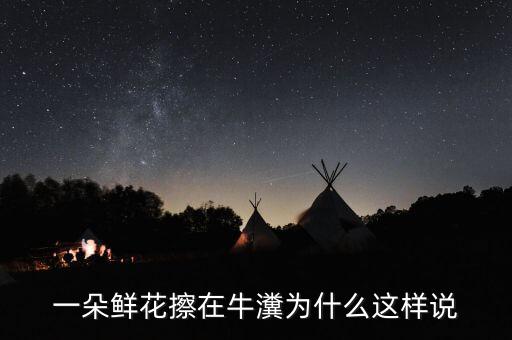 一朵鲜花擦在牛瀵为什么这样说