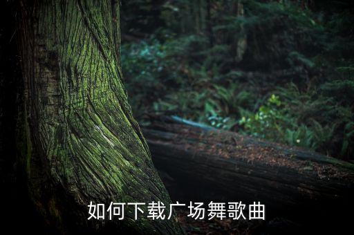 如何下载广场舞歌曲