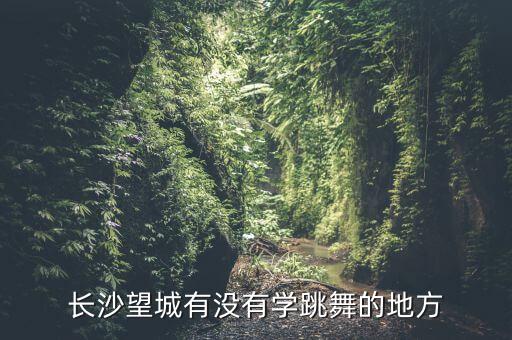 长沙望城有没有学跳舞的地方