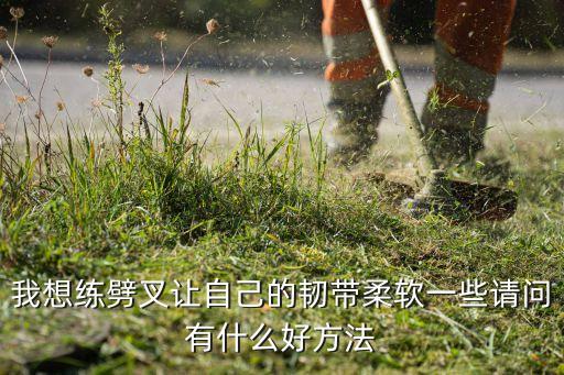 怎么可以劈叉，我想练劈叉让自己的韧带柔软一些请问有什么好方法