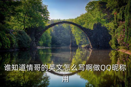 谁知道情哥的英文怎么写啊做QQ昵称用