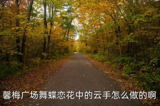 馨梅广场舞蝶恋花中的云手怎么做的啊