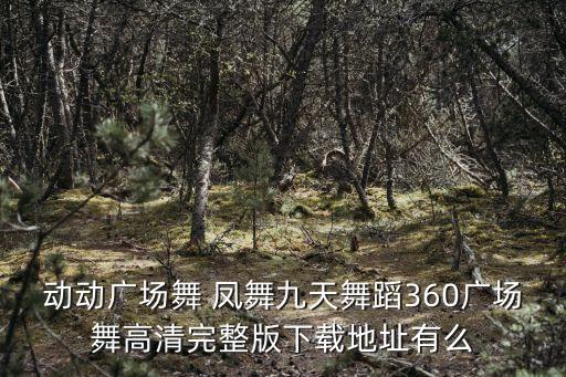 动动广场舞 凤舞九天舞蹈360广场舞高清完整版下载地址有么