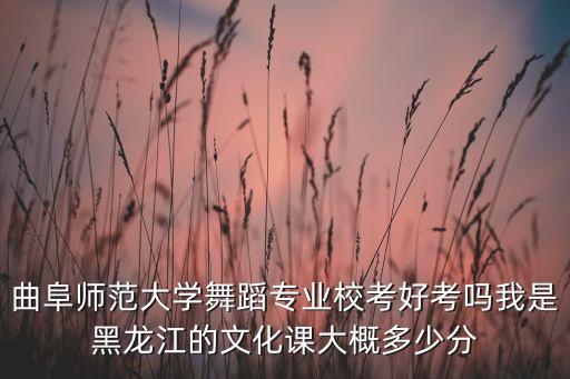 曲阜师范大学舞蹈专业校考好考吗我是黑龙江的文化课大概多少分
