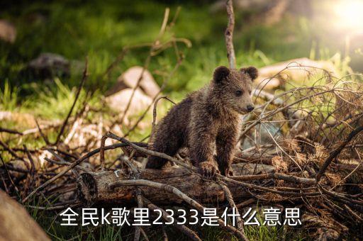 全民k歌里2333是什么意思