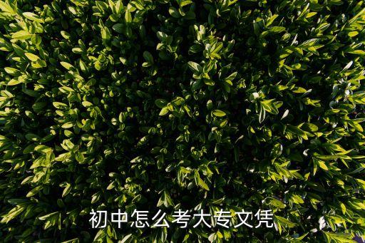 初中怎么考大专文凭