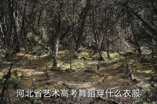 河北省艺术高考舞蹈穿什么衣服