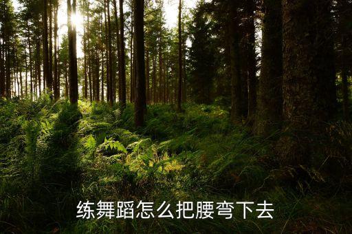 舞蹈基本功旁腰怎么下，舞蹈如何拉旁腰
