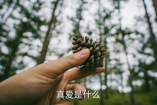 广场舞视频到底真爱是什么，到底真爱是什么