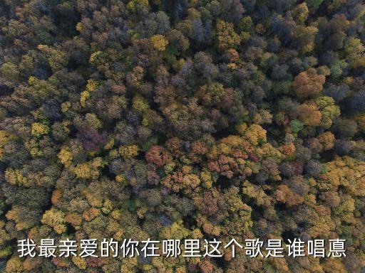 广场舞我最亲爱的你在哪里，炫舞称号 亲爱的你在哪里和我和你 在一起怎么回事