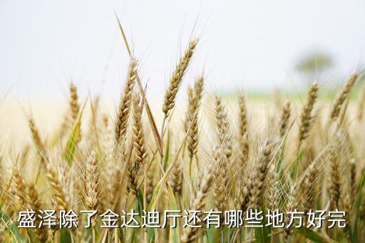 盛泽除了金达迪厅还有哪些地方好完