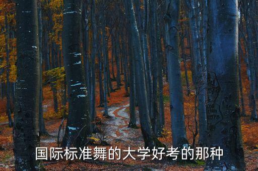 国际标准舞的大学好考的那种