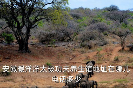 安徽暖洋洋太极功夫养生馆地址在哪儿电话多少
