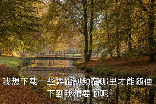 我想下载一些舞蹈视频在哪里才能随便下到我想要的呢