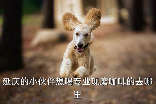 拾光音乐厅微博是谁，拾光 用英文 怎么说 意思不变