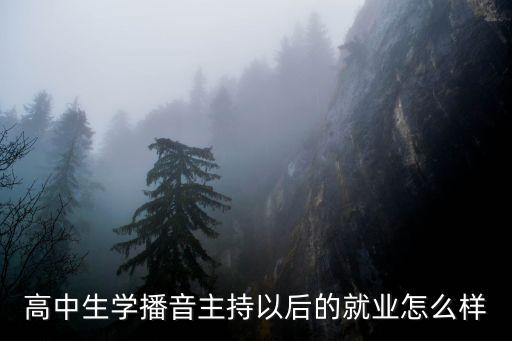 学播音的后来都干嘛了，播音主持以后能从事什么职业啊