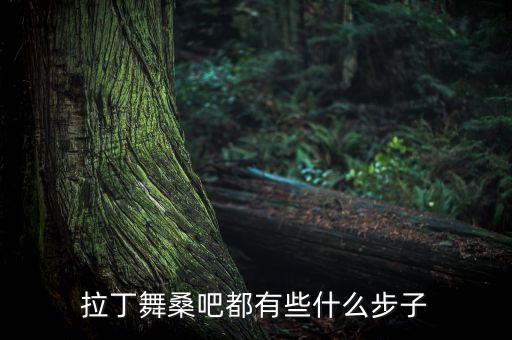 拉丁舞都有什么步法，拉丁舞桑吧都有些什么步子