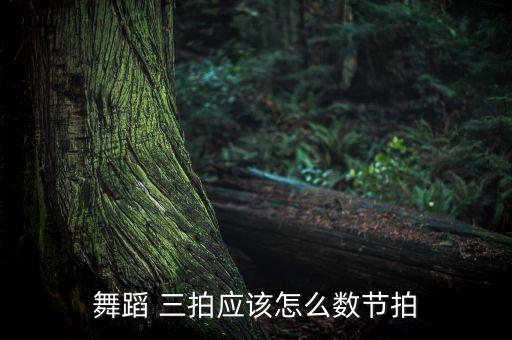 舞蹈 三拍应该怎么数节拍